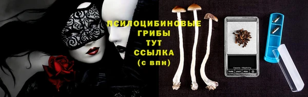 кокс Аркадак
