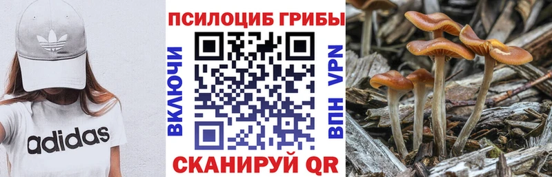 мега Ряжск Псилоцибиновые грибы GOLDEN TEACHER